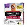 Advecta Ultra Flea and Tick for Dogs - 21 - 55 Lbs - 4 Pack