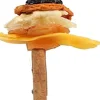 A&E Cage Company Happy Beaks Fruit On Cinnamon Skewer Bird Treat - Small