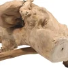 A&E Cage Company Java Wood Reptile Branch Reptile Wood/Vines - Small