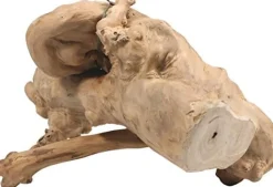 A&E Cage Company Java Wood Reptile Branch Reptile Wood/Vines - Small