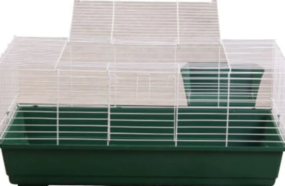 A&E Cage Company Small Animal Cage - 39 X 22 X 18 In - Extra Large - 2 Pack