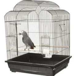 A&E Cage Company Victorian Bird Cage - Black - 25 X 21 In - 2 Pack