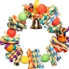A&E Cage Happy Beaks Fiesta Wreath Bird Toy - 9 X 7 X 2 In