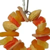 A&E Cage Happy Beaks Tropical Delight Fruit & Nut Ring Bird Toy - 4 X 4 X 4 In