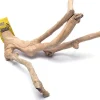 A&E Java Wood Multi-Branch Bird Perch - Large