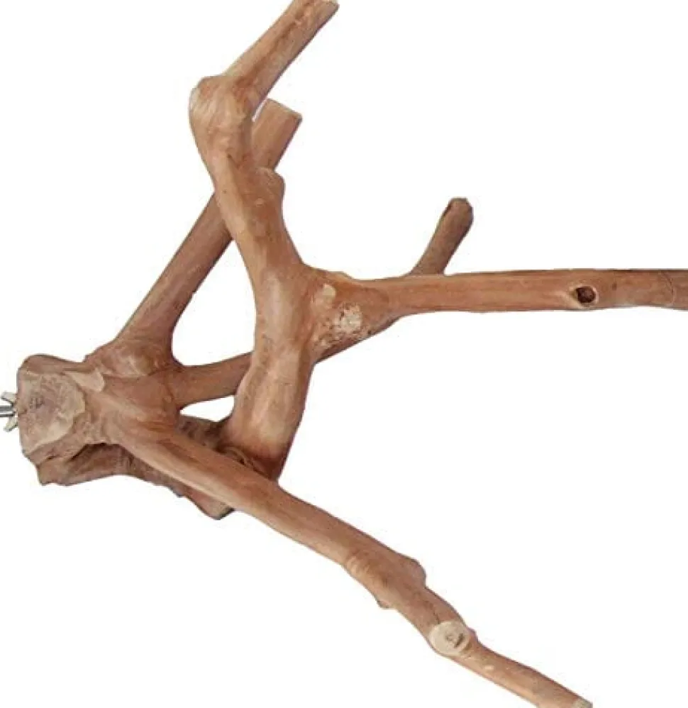 A&E Java Wood Multi-Branch Bird Perch - Medium