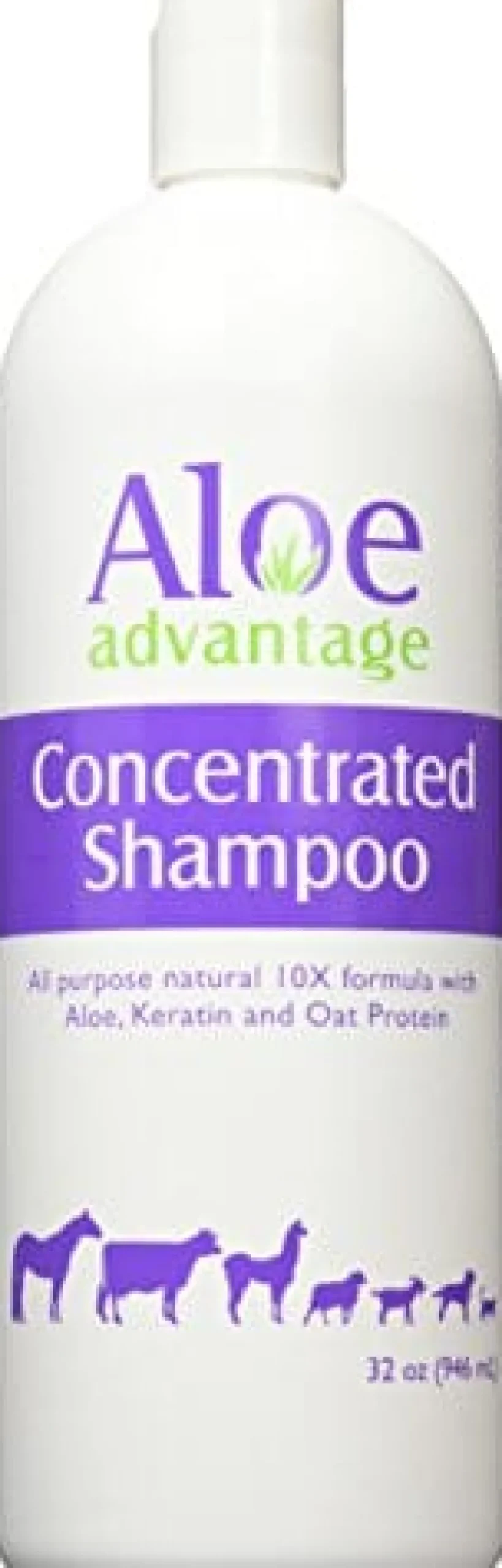 Aloe Advantage Concentrate Pet Shampoo 10X - 1 Qt
