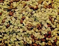 Alpine Dairy Raw Shelled Peanuts Wild Bird Food - 50 Lbs