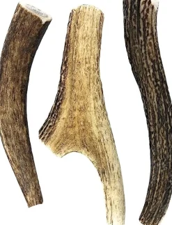 Antler Dog Chews Deer Antler - Medium - 5-7 In - 2 Lbs