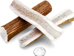 Antler Dog Chews Elk Antler - Small - 3-5 In