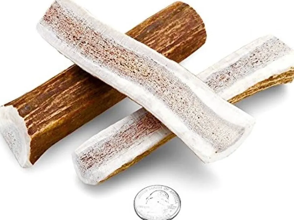 Antler Dog Chews Elk Antler - Small - 3-5 In