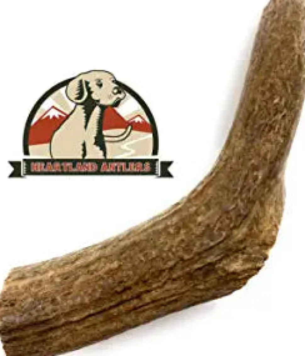 Antler Dog Chews Elk Antler - Large - 7-9 In