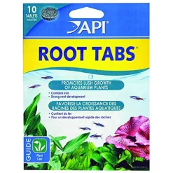 API Root Tabs - 10 pk