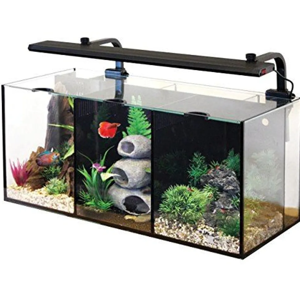 Aqua One Betta Trio