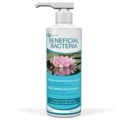 Aquascape Beneficial Bacteria - 8 fl oz