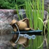 Aquascape Lazy Frog on Lily Pad Spitter