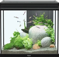 Aquatlantis Elegance Expert 60 Aquarium - Black - 27.5 gal