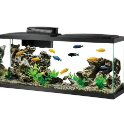 Aqueon Aquarium Starter Kit with LED Lighting - Size 55