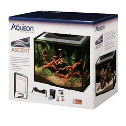 Aqueon Ascent Frameless Aquarium Kit - 10 gal