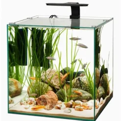 Aqueon Frameless Cube Aquarium - 14 gal