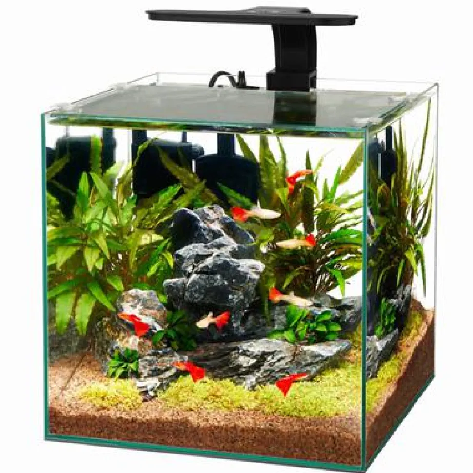 Aqueon Frameless Cube Aquarium - 6 gal