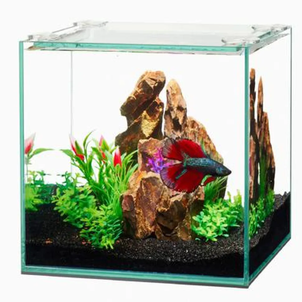 Aqueon Frameless Cube Aquarium - 1 gal