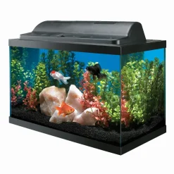 Aqueon Incandescent Aquarium Kit - 10