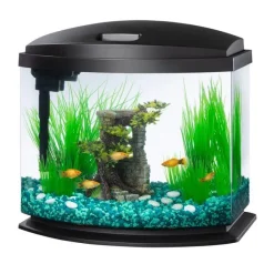Aqueon LED MiniBow 5 - Black - 5 gal