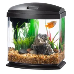 Aqueon LED MiniBow 1 - Black - 1 gal