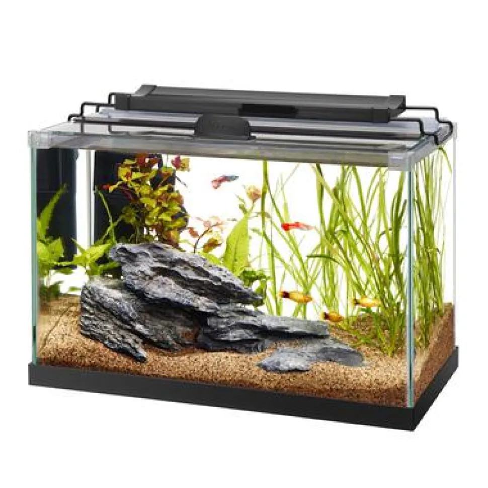 Aqueon Rimless Rectangle Aquarium - 5.5 gal