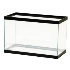 Aqueon Standard Glass Rectangle Aquarium Clear Silicone - Black - 5.5 gal