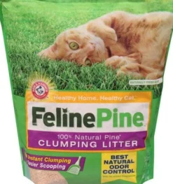 Arm & Hammer Feline Pine Scoop Cumping Cat Litter - 8 Lbs - Case of 3