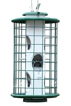 Audubon Avian Series Caged Mixed Seed Haven Wild Bird Feeder - Green - 4.5 Lbs Cap