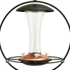 Audubon Contemporary Floating Sphere Hummingbird Feeder - 16 Oz Cap