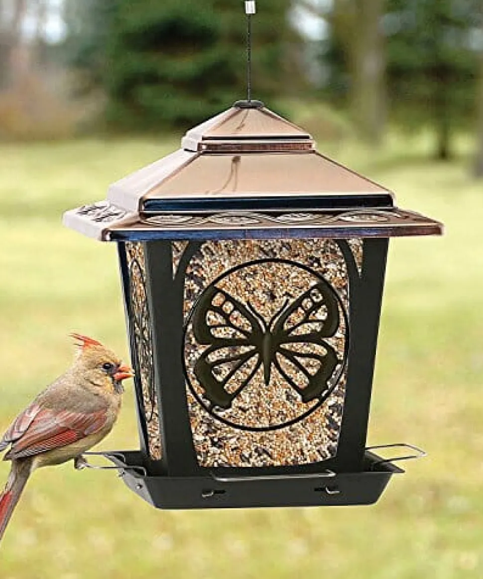 Audubon Hopper Style Wild Bird Feeder with Butterfly Design - Bronze - 3 Lbs Cap