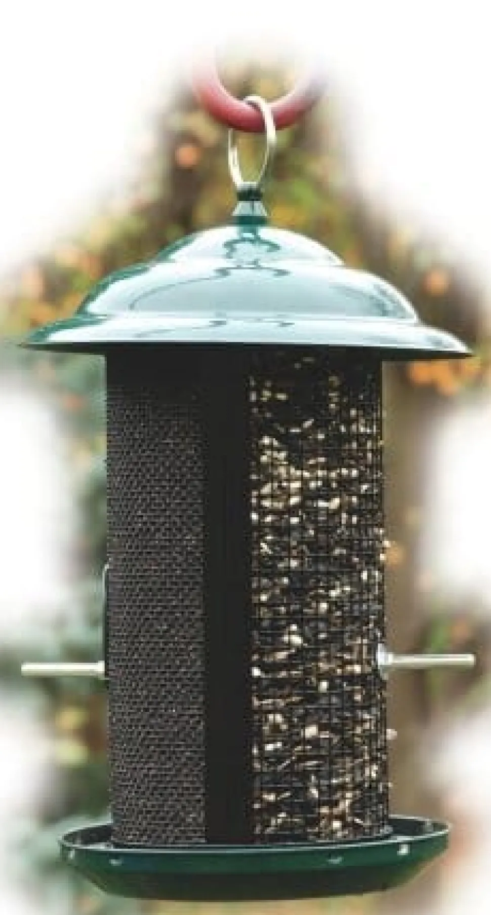 Audubon Mesh Combo Screen Feeder Wild Bird Feeder - Green - 3 Lbs Cap