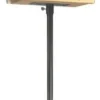 Audubon 3-Piece Pole Kit Wild Bird Accessories - Black - 6.5 X 2 X 72 In