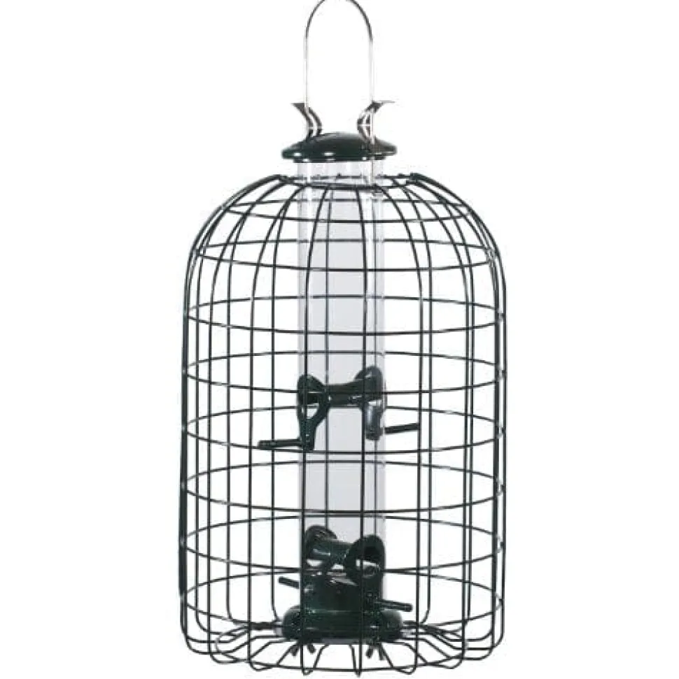 Audubon Squirrel-Resistant Caged Tube Haven Wild Bird Feeder - Clear and Green - 1.25 Lbs Cap