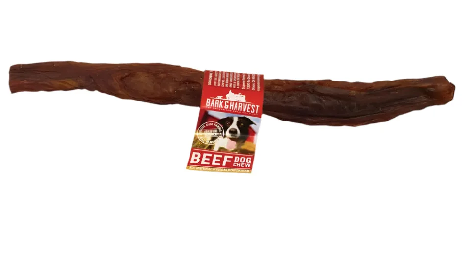 Bark + Harvest by Superior Farms 12" Beef Bladder Stick Dog Natural Chews - Display Box - Case of 25
