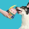Bark Box Squeakadelic Magic and Mystery Smell Tune Disc Dog Toy