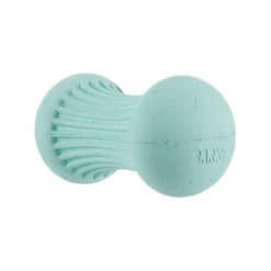 Bark Box Super Chewer Flungi Rubber Dog Toy