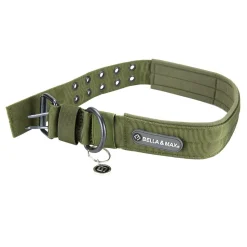 Bella and Max Heavy Adventure Dog Collar - Green - Medium