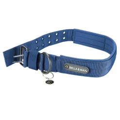 Bella and Max Heavy Adventure Dog Collar - Blue - Medium