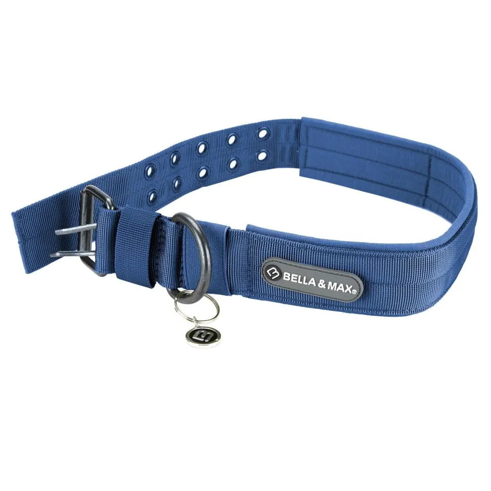 Bella and Max Heavy Adventure Dog Collar - Blue - Medium