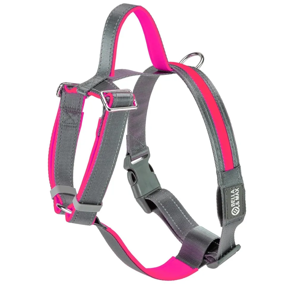 Bella and Max USB LED Lighting Dog Harness - Rose - Medium
