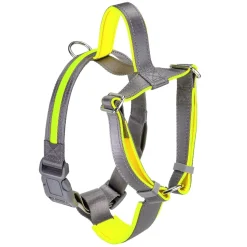Bella and Max USB LED Lighting Dog Harness - Neon - Large