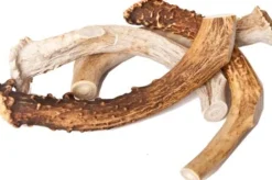 Best Buy Bones USA Jumbo Elk Antler - 9-11 Inch