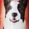 Bio-Groom Flea & Tick Shampoo - 12 Oz