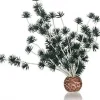Biorb Bonsai Ball Aquarium Plant Ornament - Black - Small