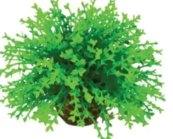 Biorb Flower Ball Topiary Plant Aquarium Ornament - Green - Small